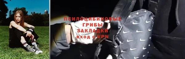 молекула духа Абинск