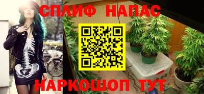 молекула духа Комсомольск-на-Амуре