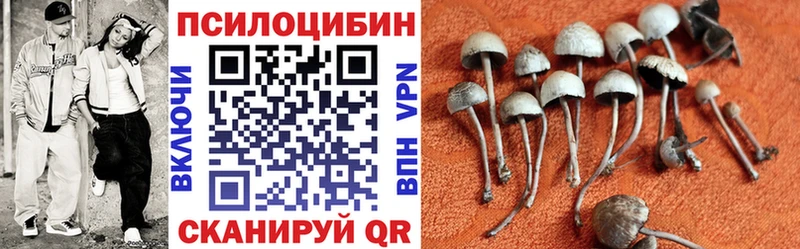 Псилоцибиновые грибы Psilocybe  Карпинск 