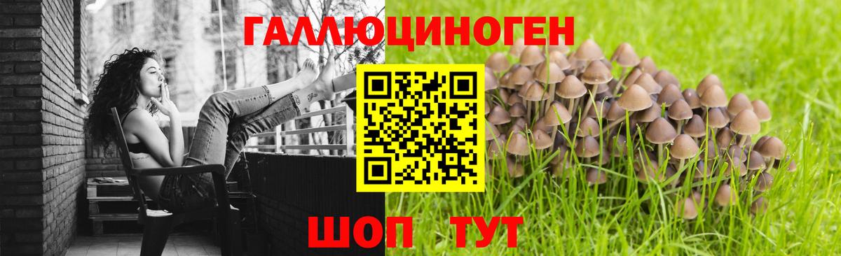 Карпинск  Псилоцибиновые грибы Psilocybine cubensis  Вход с VPN 